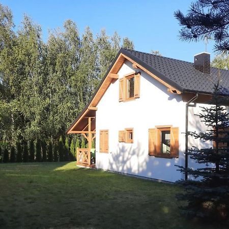 Domek Caloroczny Nad Jeziorem Budzislawskim, Wielkopolska Na Wynajem Anastazewo المظهر الخارجي الصورة