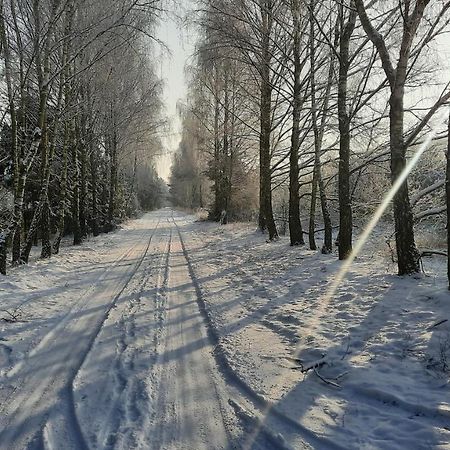 Domek Caloroczny Nad Jeziorem Budzislawskim, Wielkopolska Na Wynajem Anastazewo المظهر الخارجي الصورة