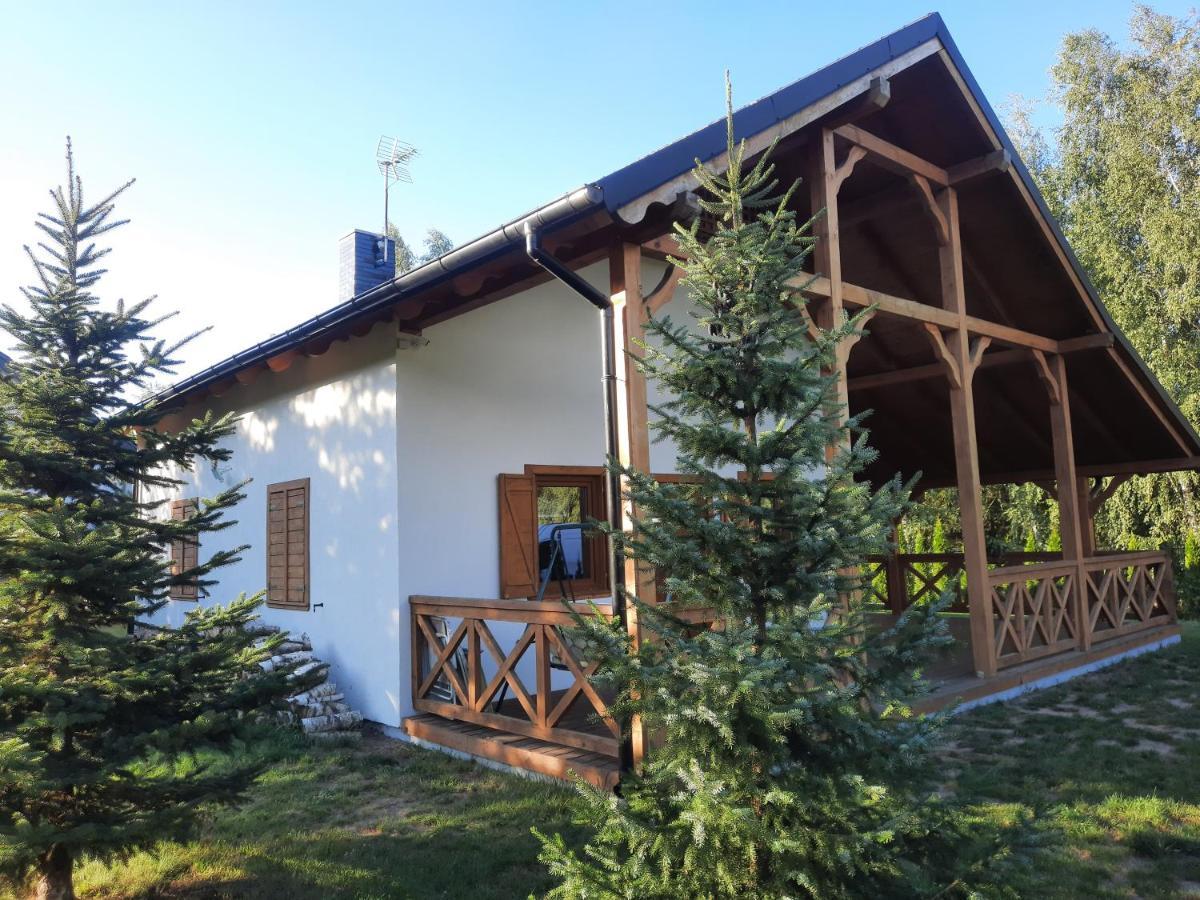 Domek Caloroczny Nad Jeziorem Budzislawskim, Wielkopolska Na Wynajem Anastazewo المظهر الخارجي الصورة