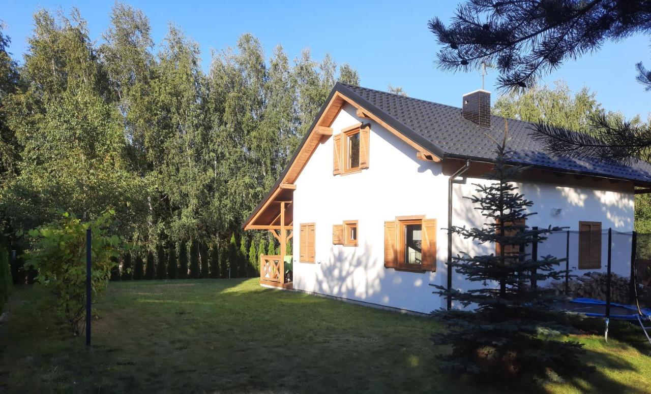 Domek Caloroczny Nad Jeziorem Budzislawskim, Wielkopolska Na Wynajem Anastazewo المظهر الخارجي الصورة
