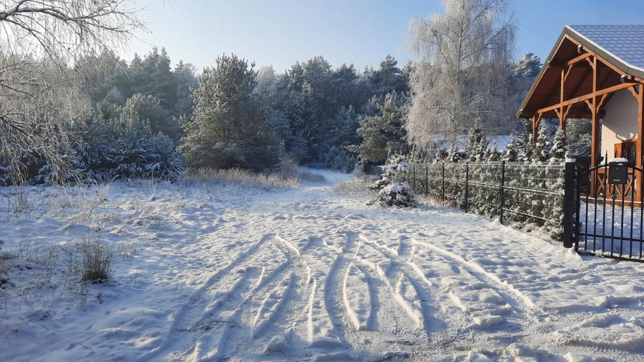 Domek Caloroczny Nad Jeziorem Budzislawskim, Wielkopolska Na Wynajem Anastazewo المظهر الخارجي الصورة