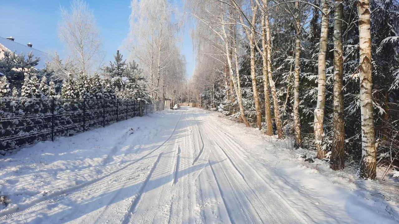 Domek Caloroczny Nad Jeziorem Budzislawskim, Wielkopolska Na Wynajem Anastazewo المظهر الخارجي الصورة